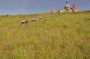 Zvětšit